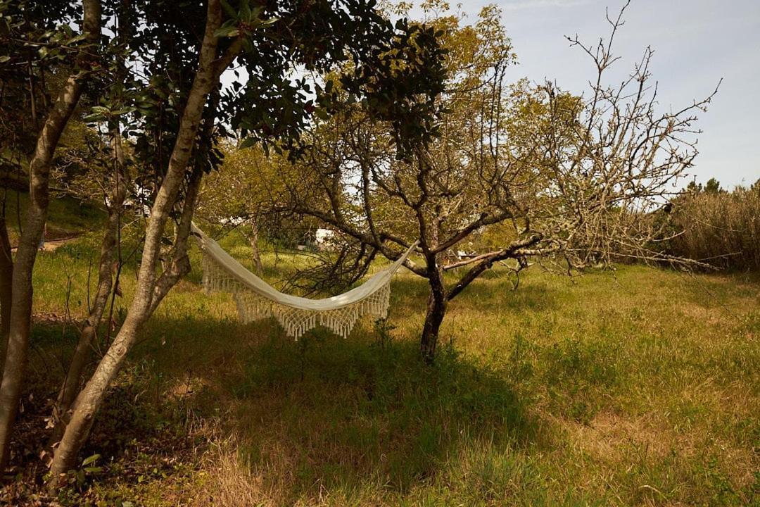 Quinta Do Marmeleiro - Casa Marmeleiro Villa ซังติอาโก โด กาเซ็ง ภายนอก รูปภาพ
